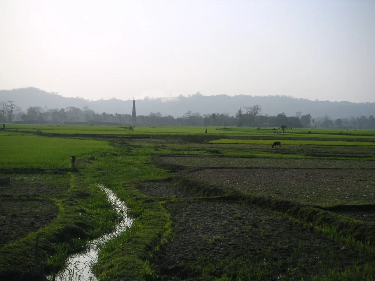 Dhalai