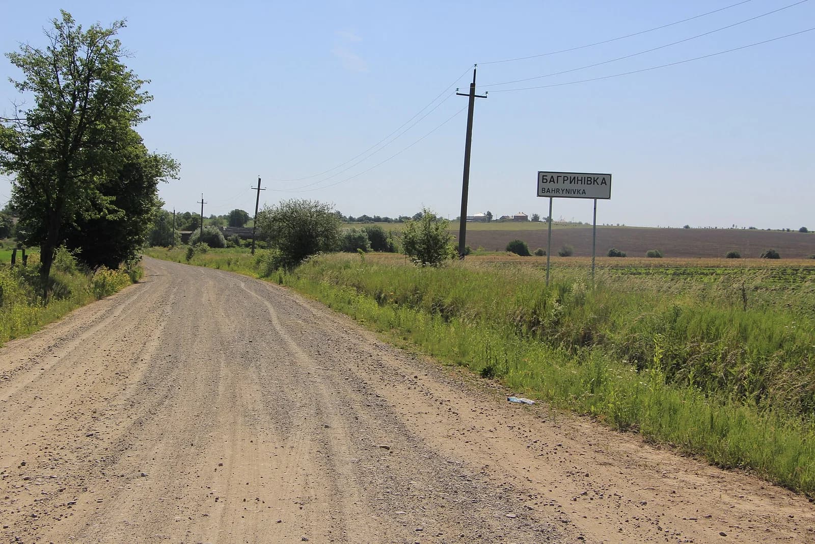 Bahrynivka