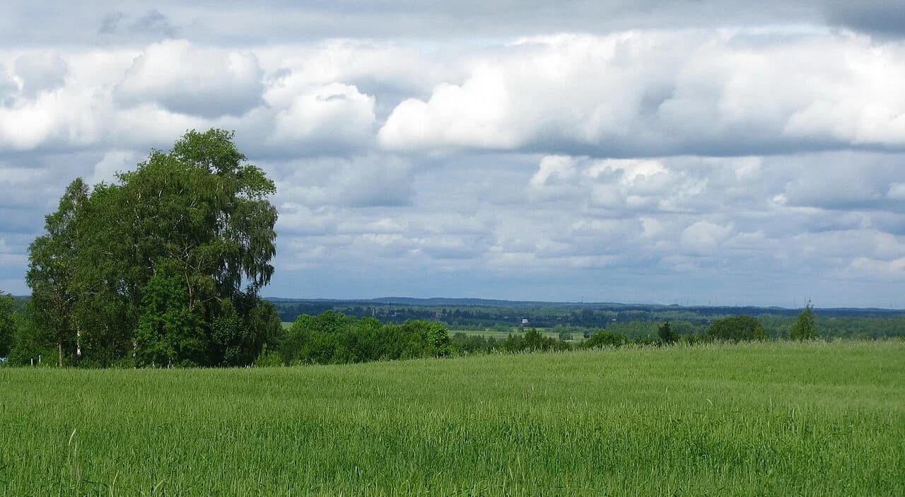 Hlybokaje District