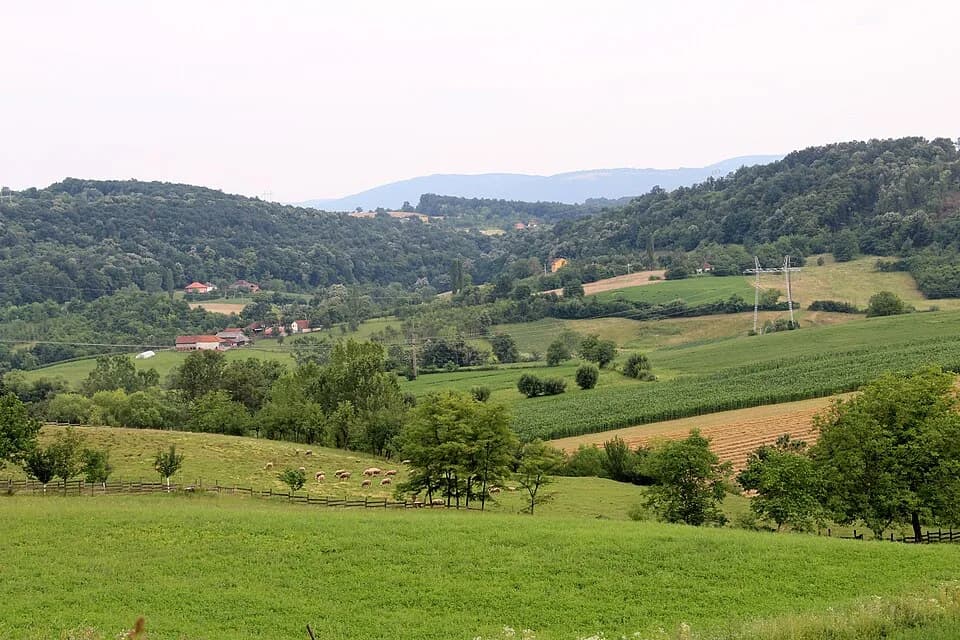 Bujačić