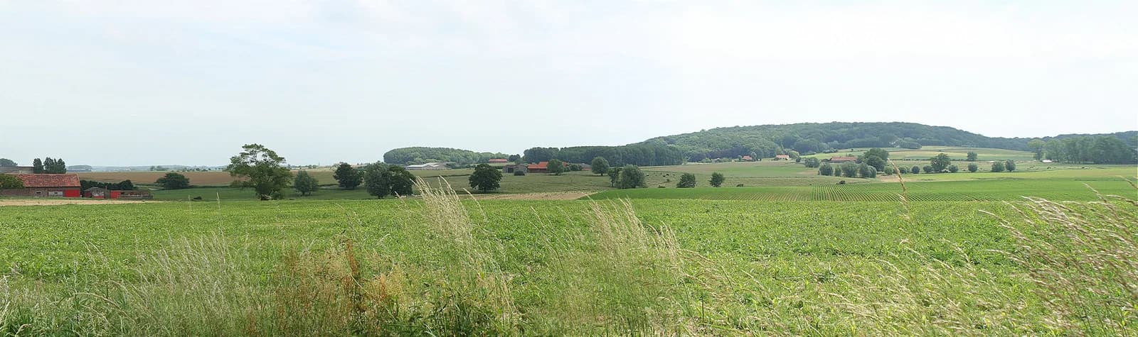 Kemmelberg