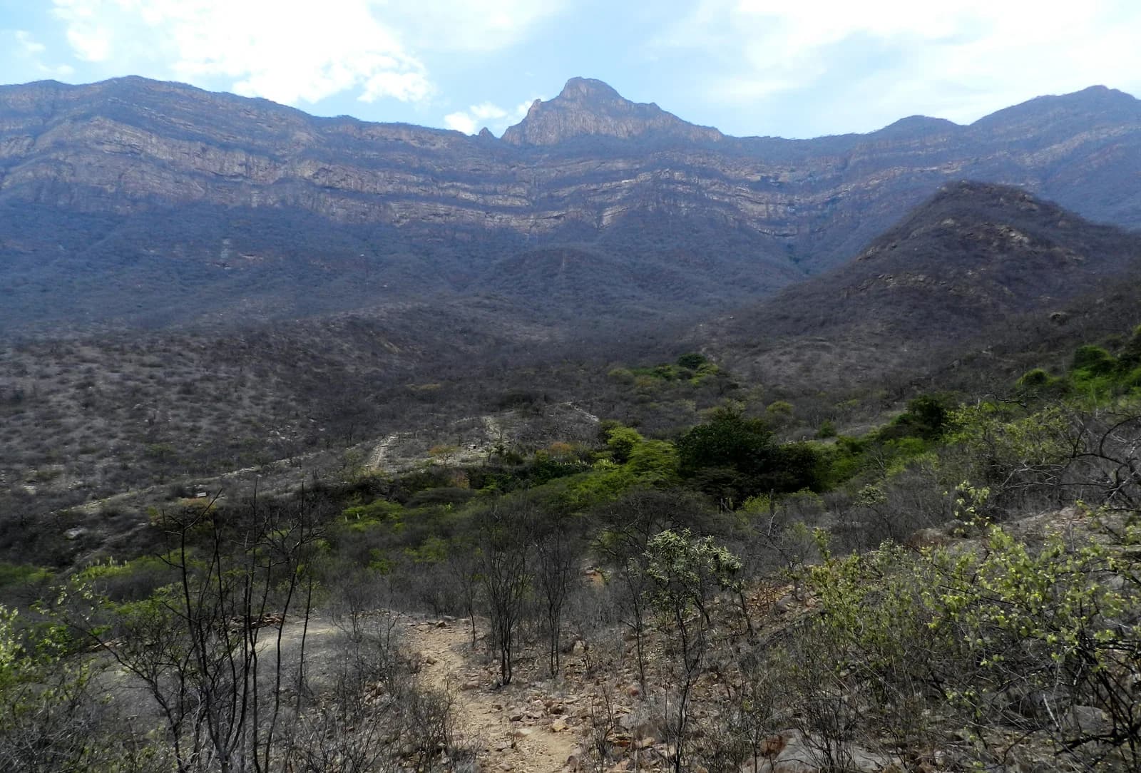 Lambayeque Department