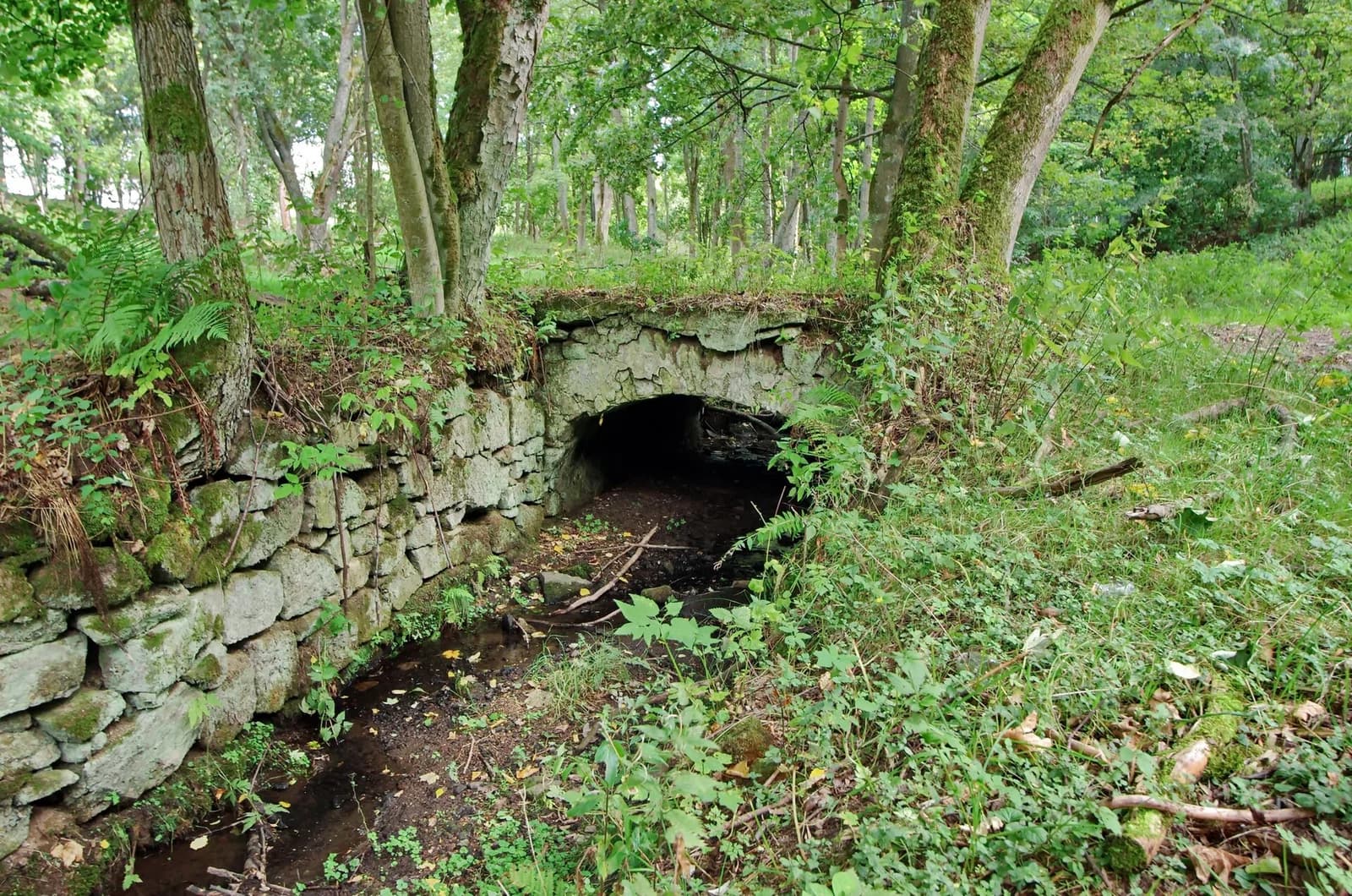 Smrkovec