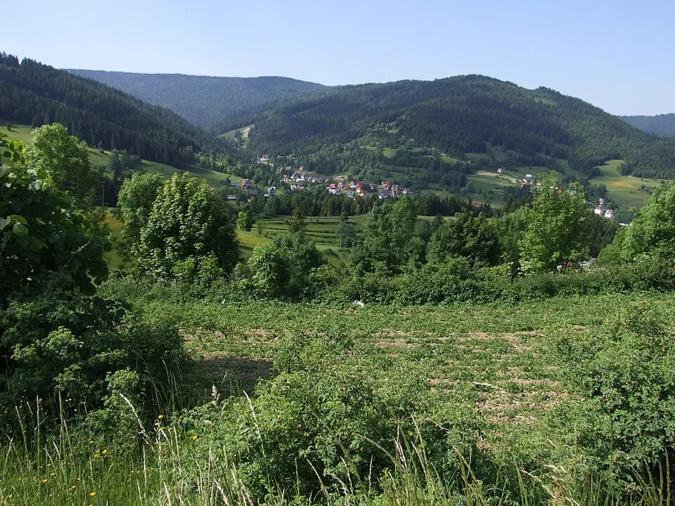 Poręba Wielka