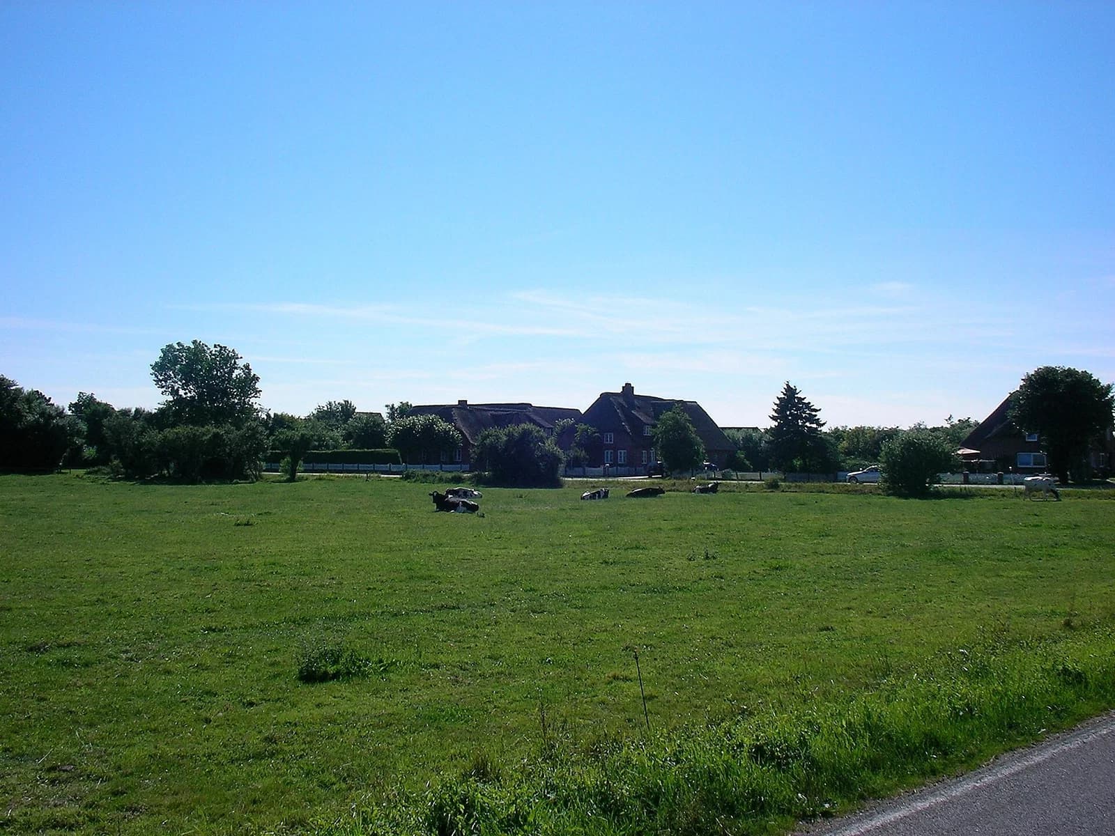 Dunsum