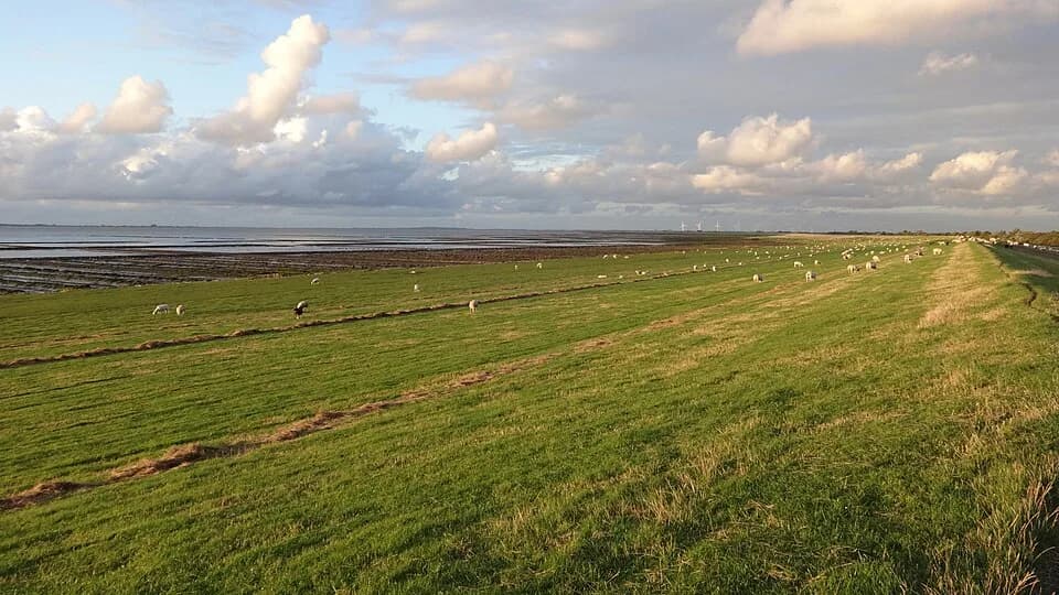 Norderfriedrichskoog