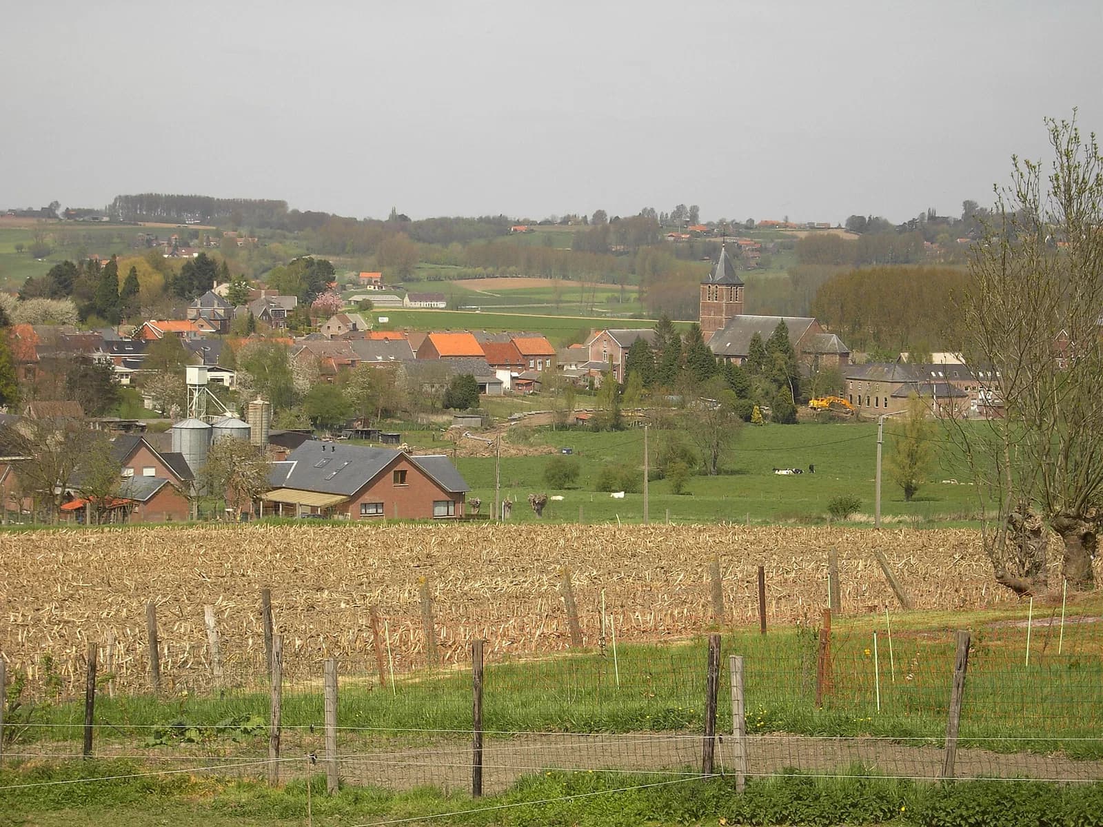 Schorisse