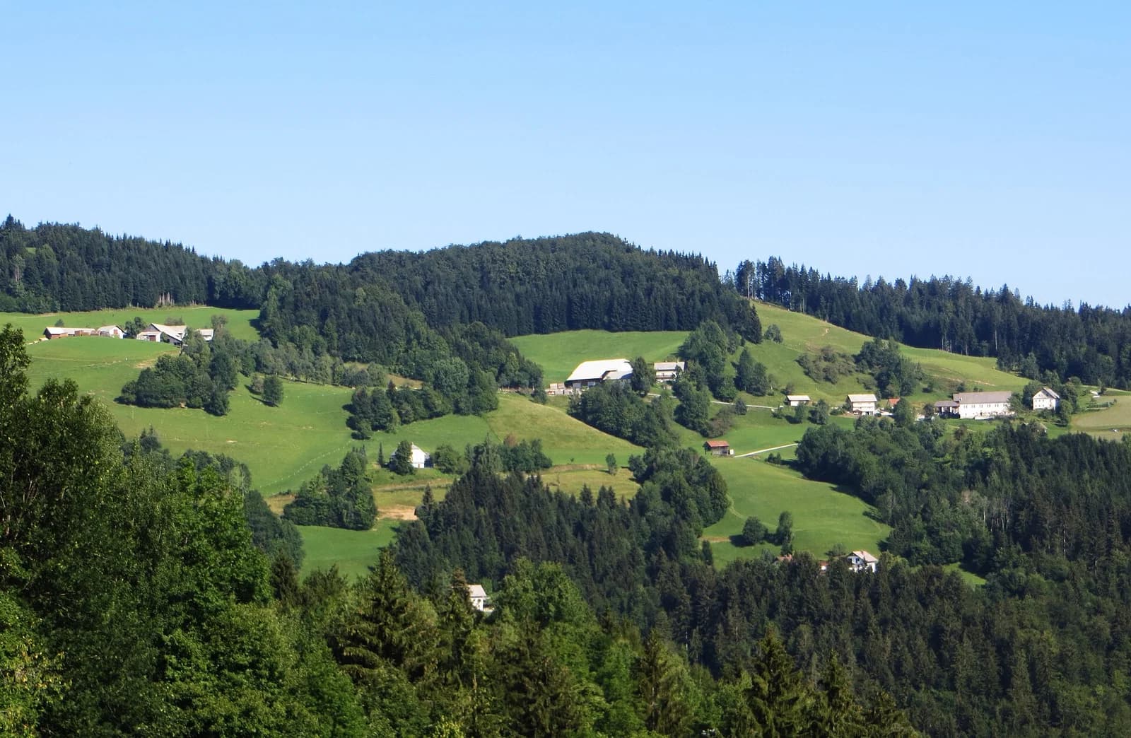 Rovte v Selški Dolini