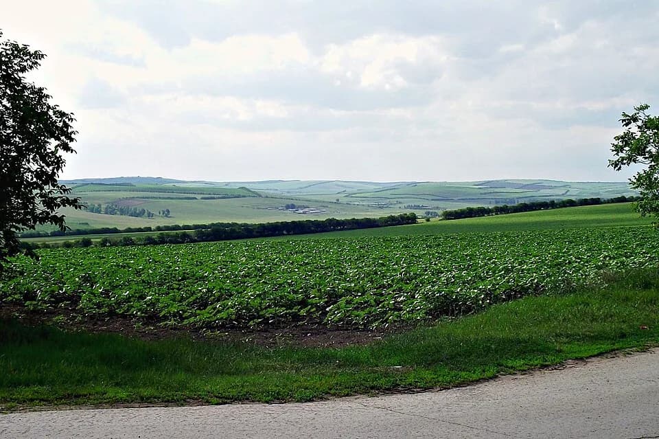 Orhei District