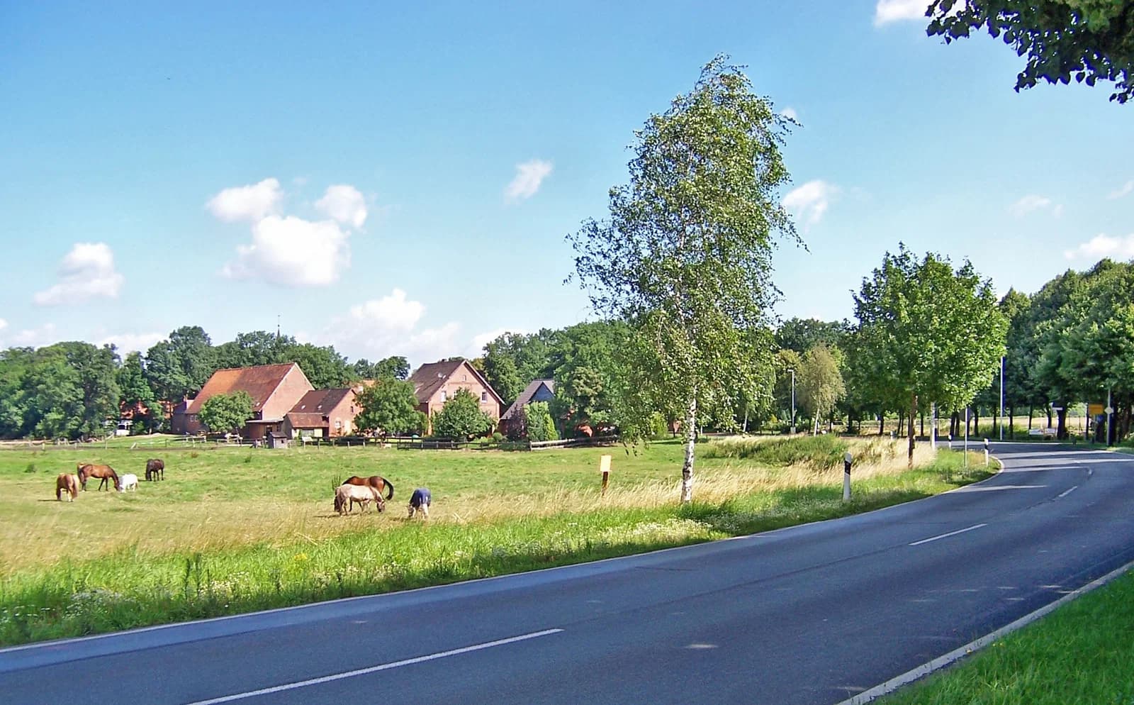 Steinwedel