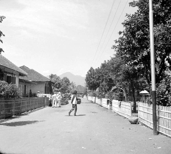 Majalaya
