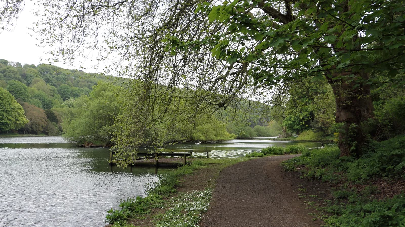 North Yorkshire
