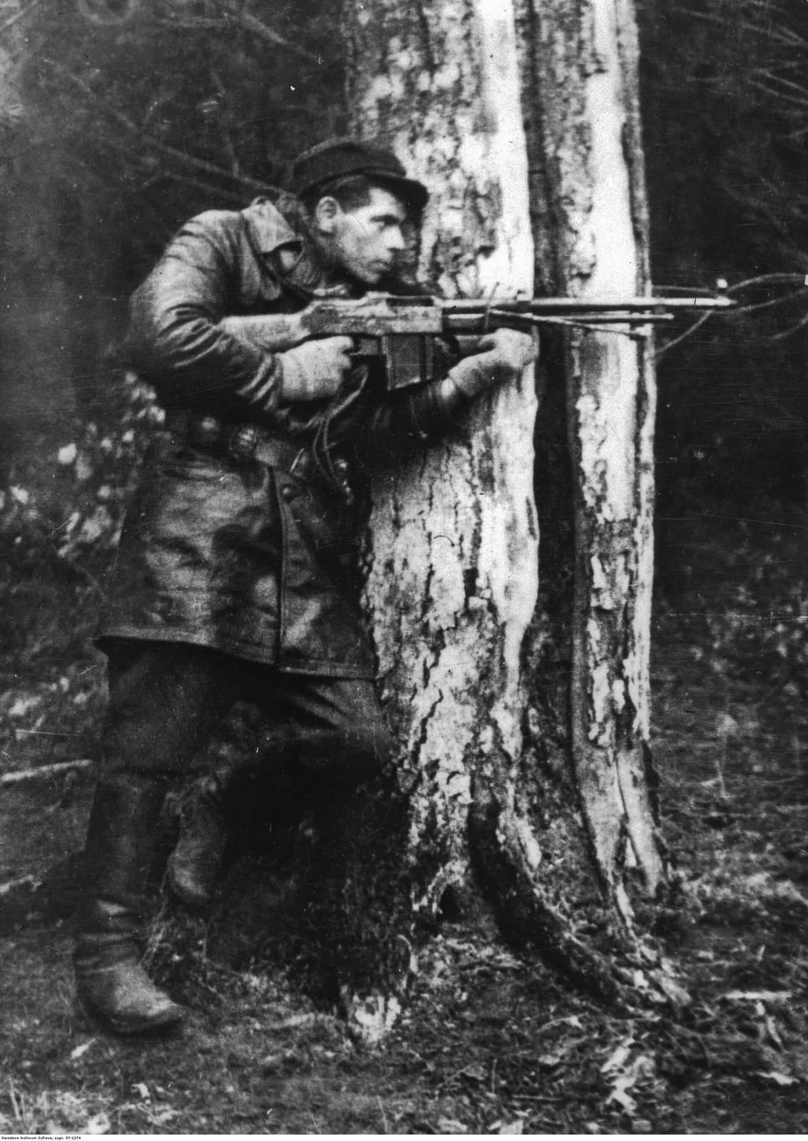 partisan