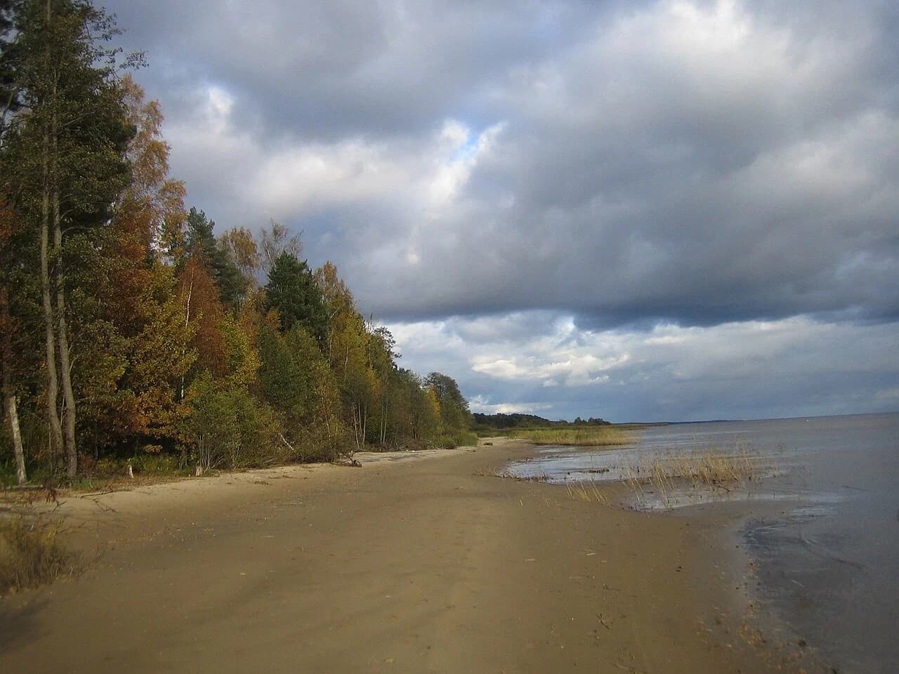 Rannapungerja