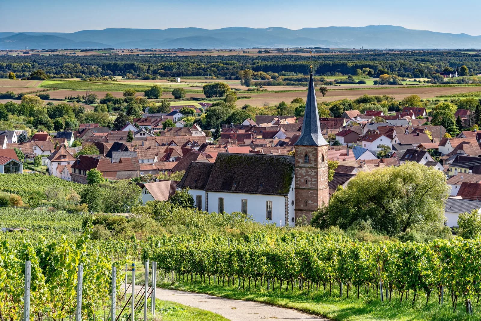 Rechtenbach