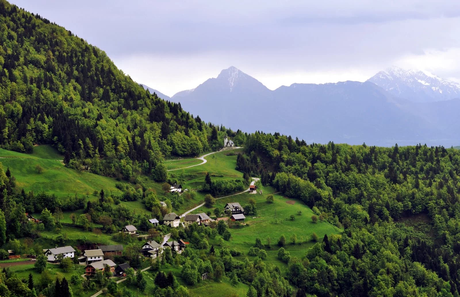 Lajše