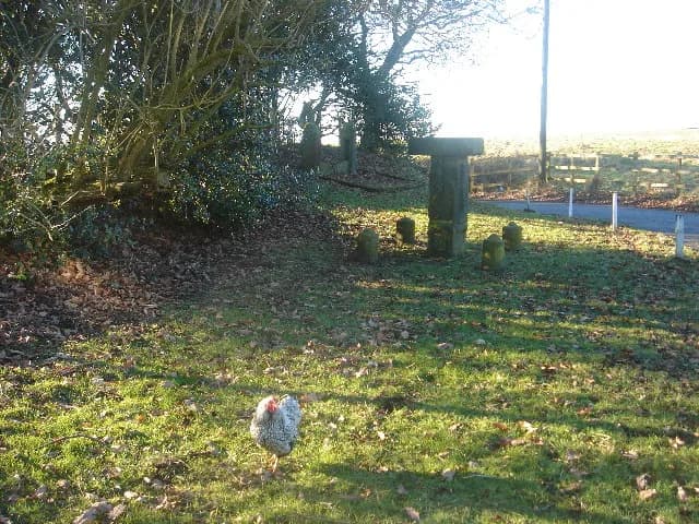 Anderton