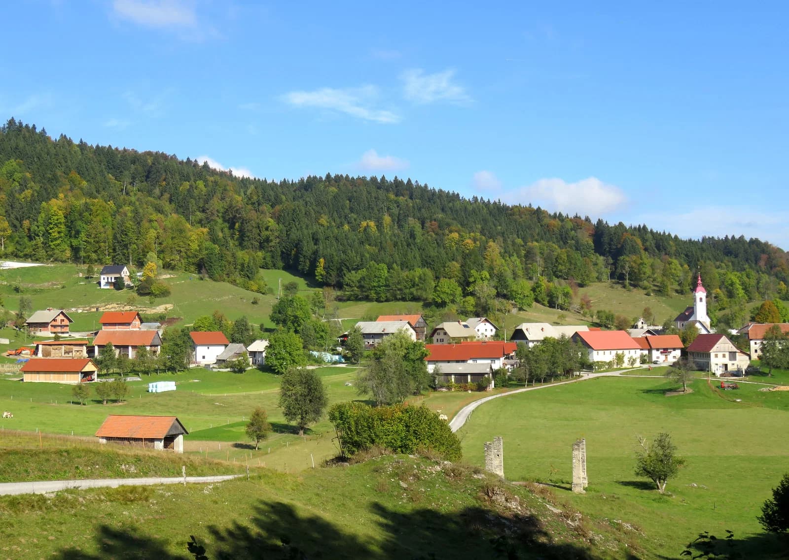 Ledine
