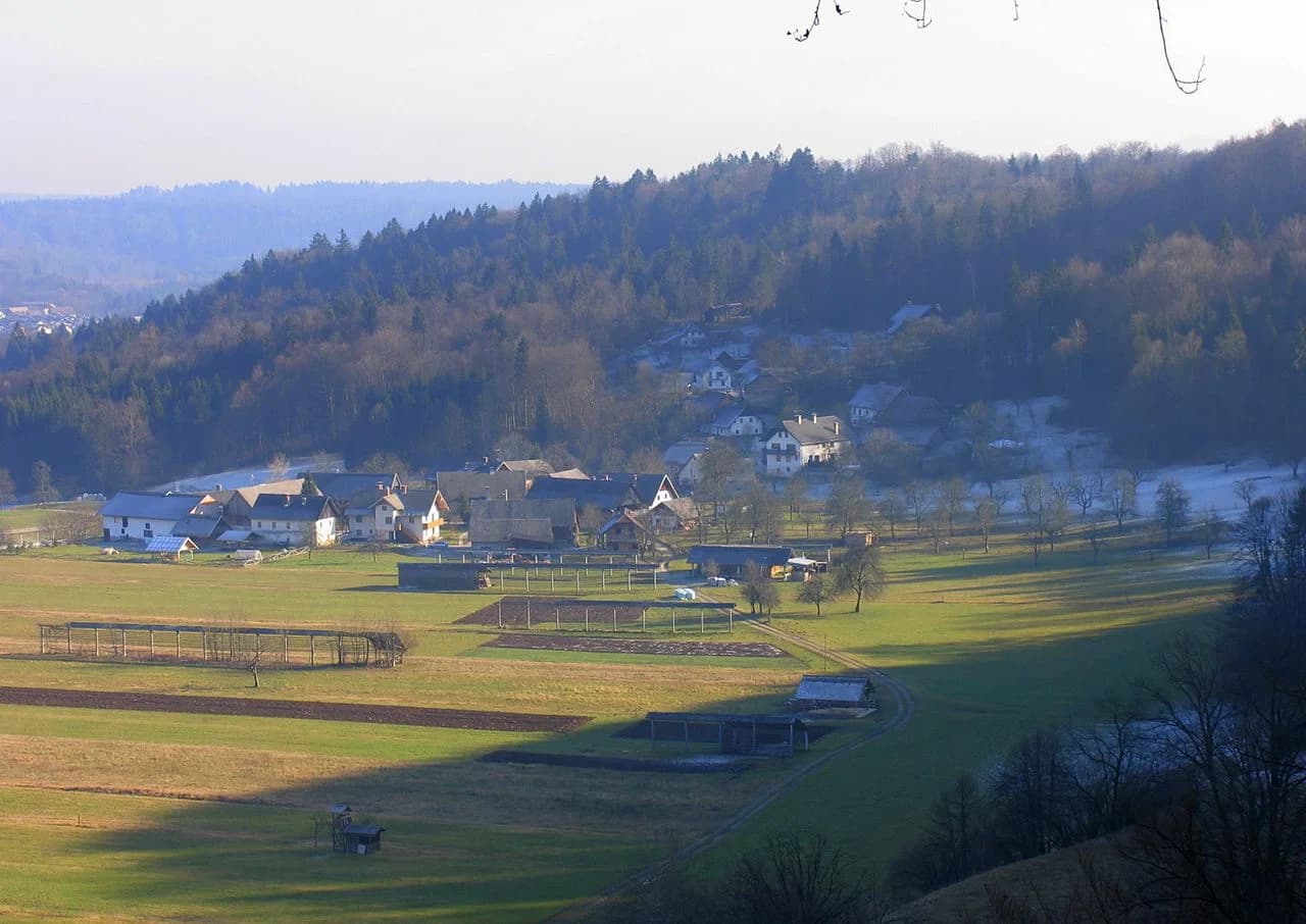 Mišače