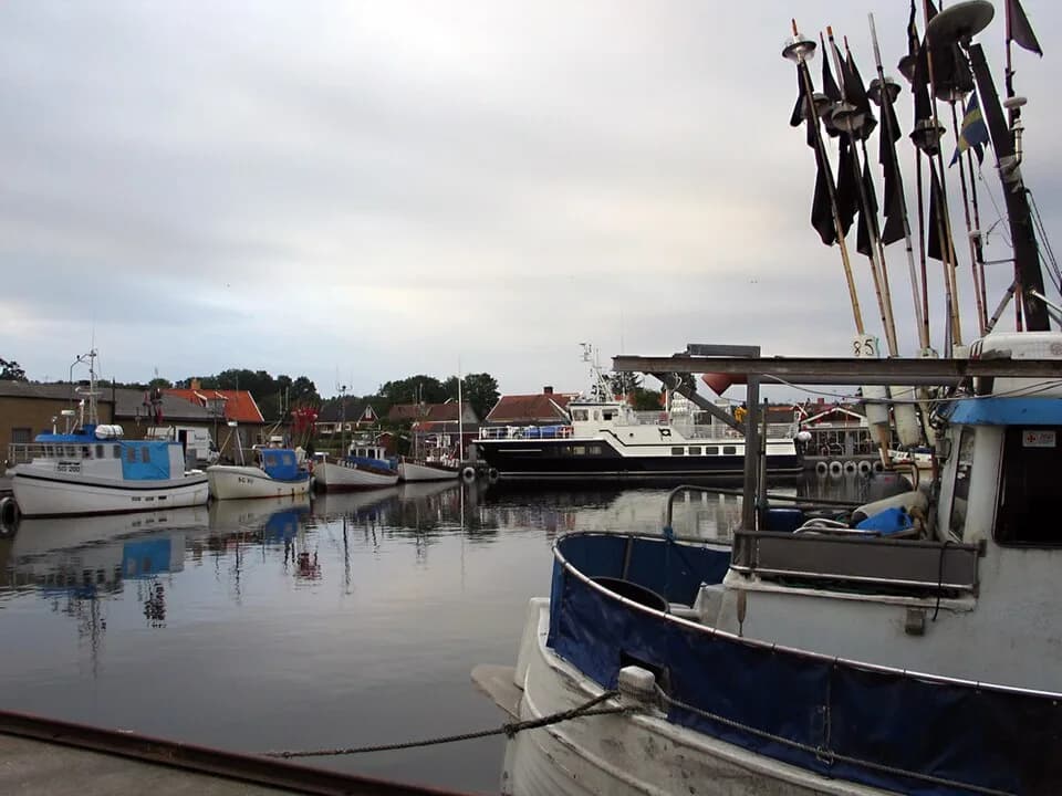 Mjällby distrikt