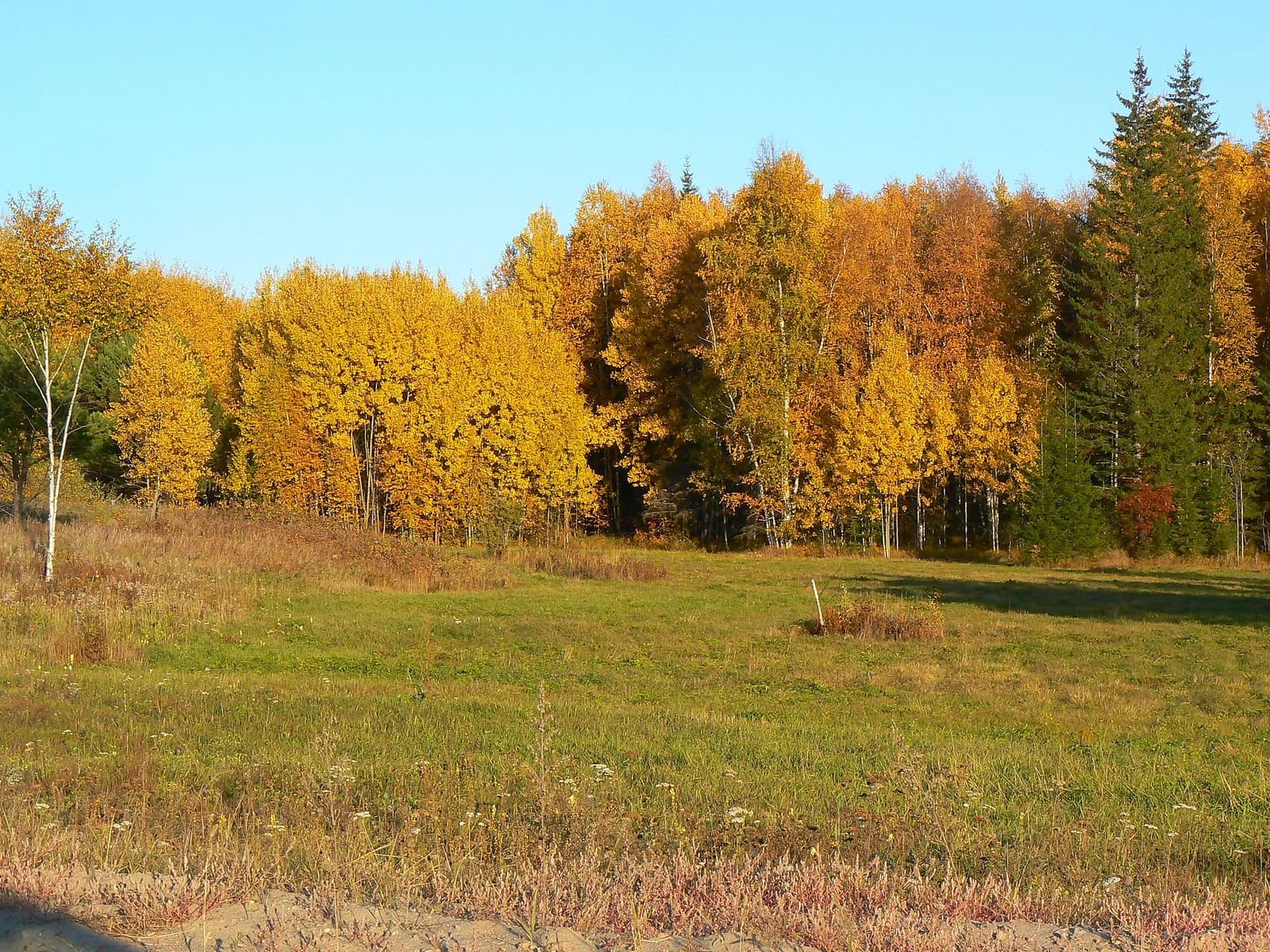Nizhneingashsky District