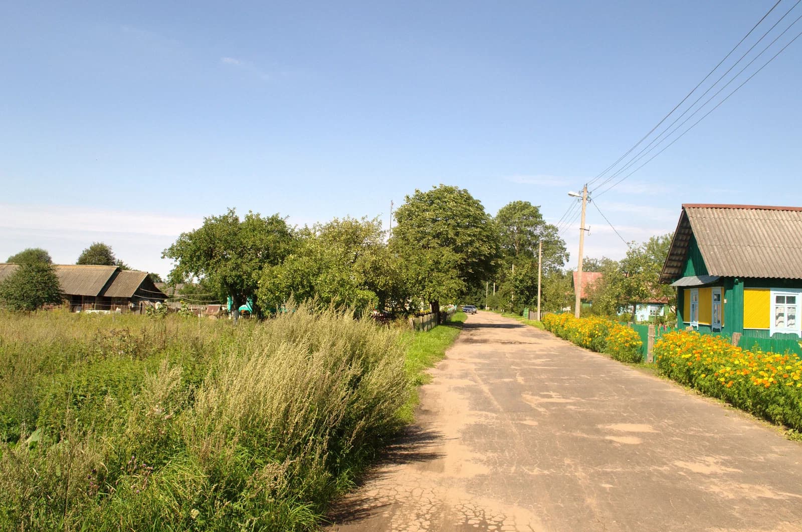 Čuchny