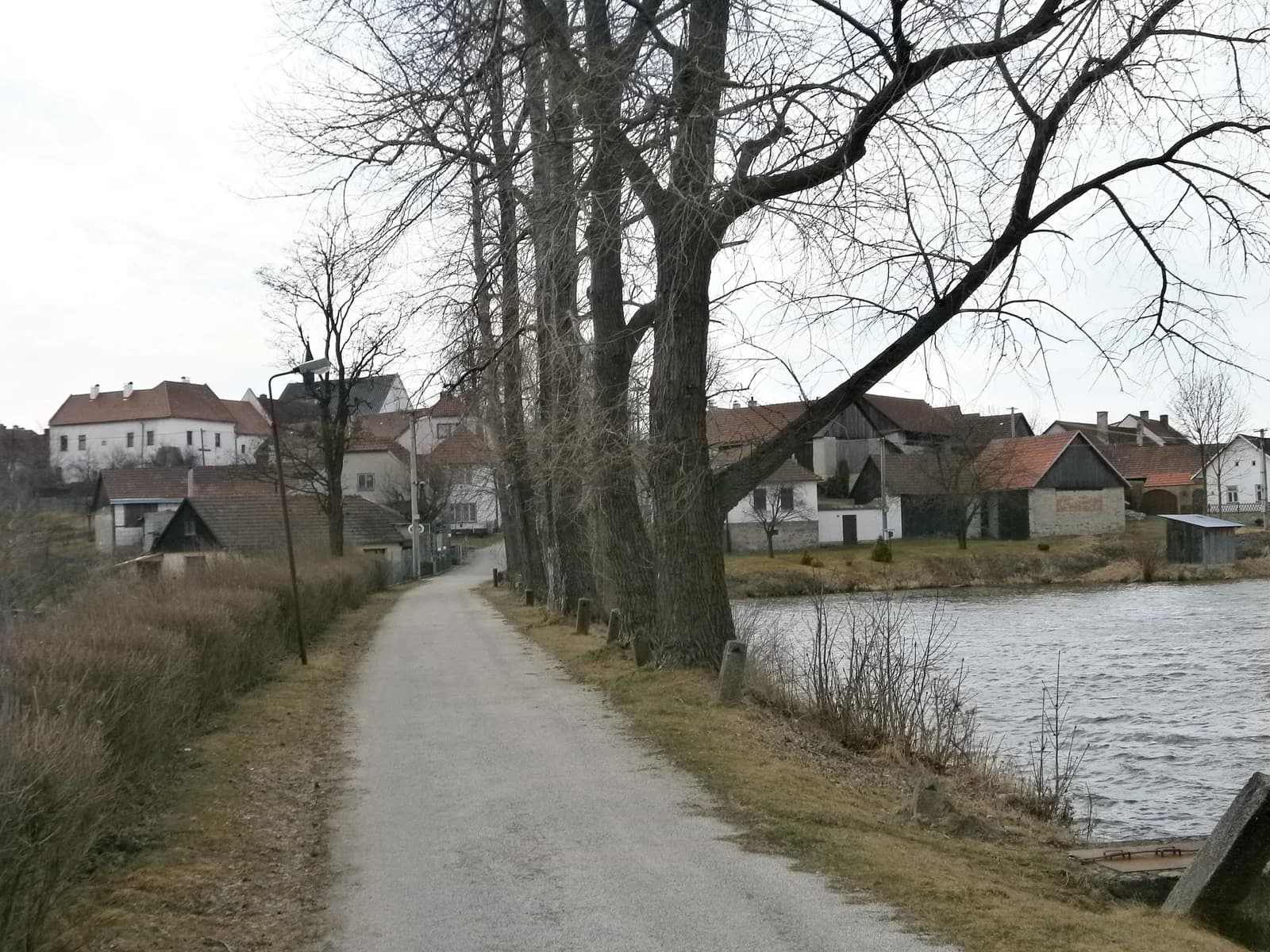Ronov