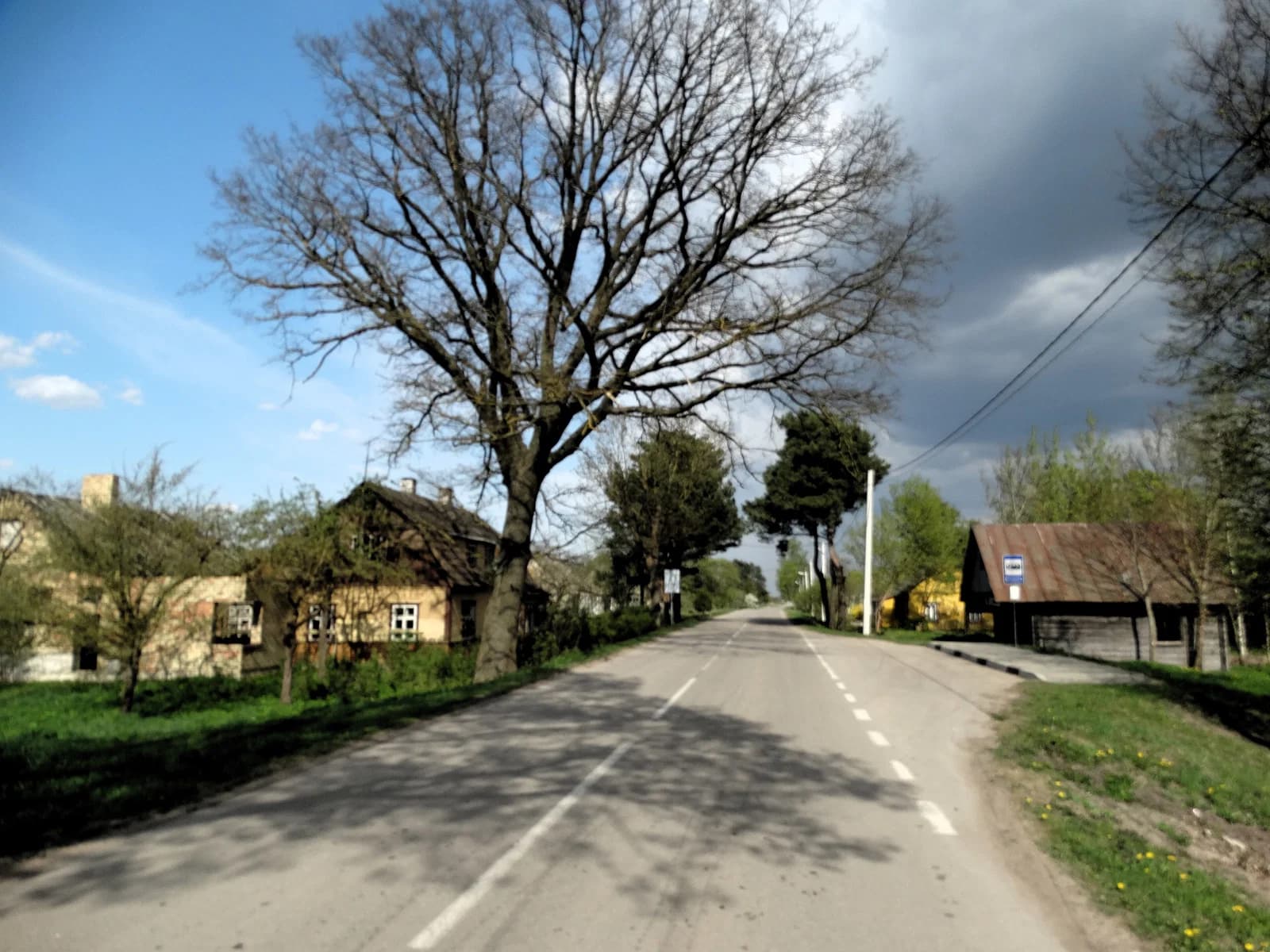 Palonai