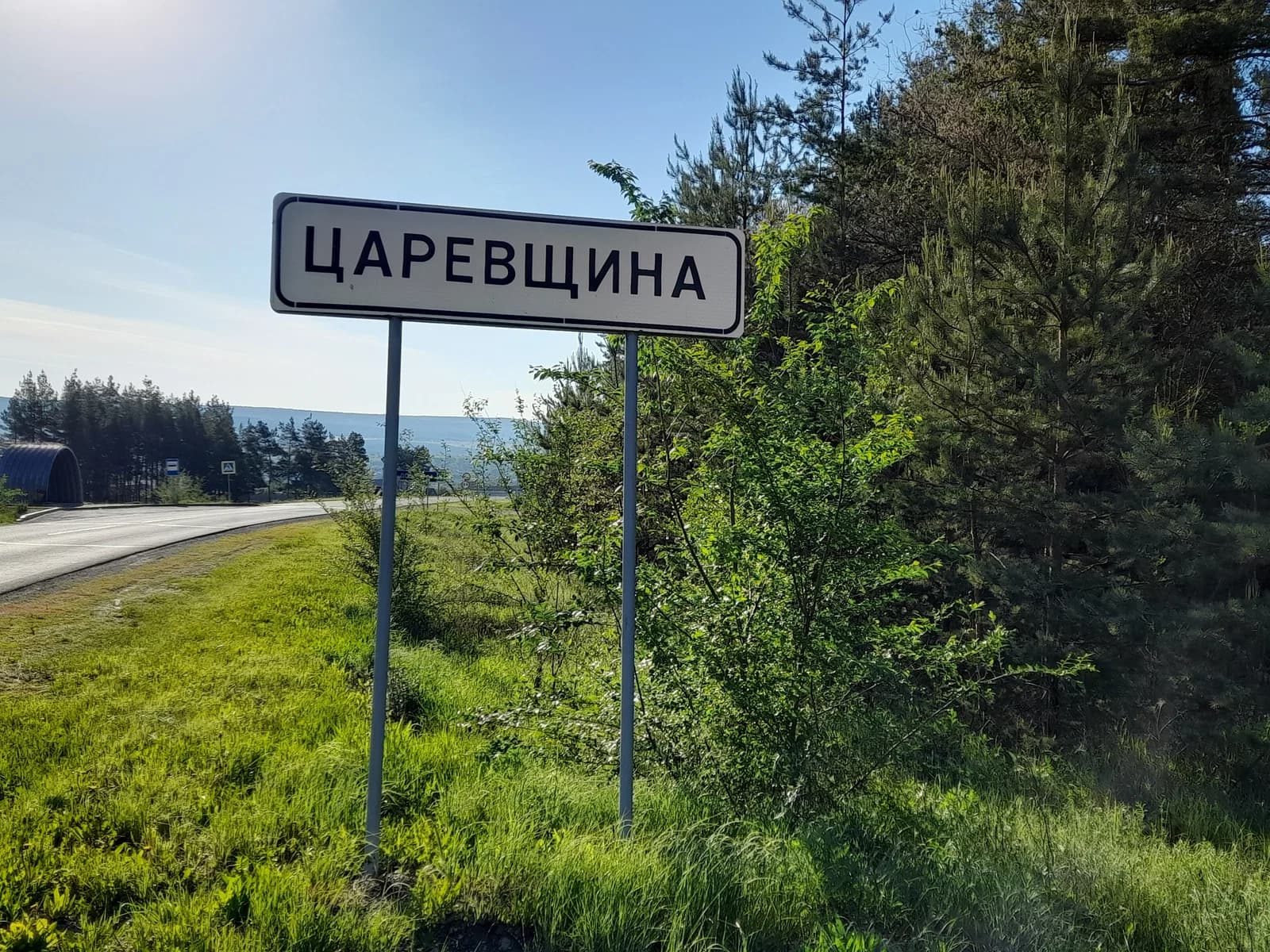 Tsarevchtchina