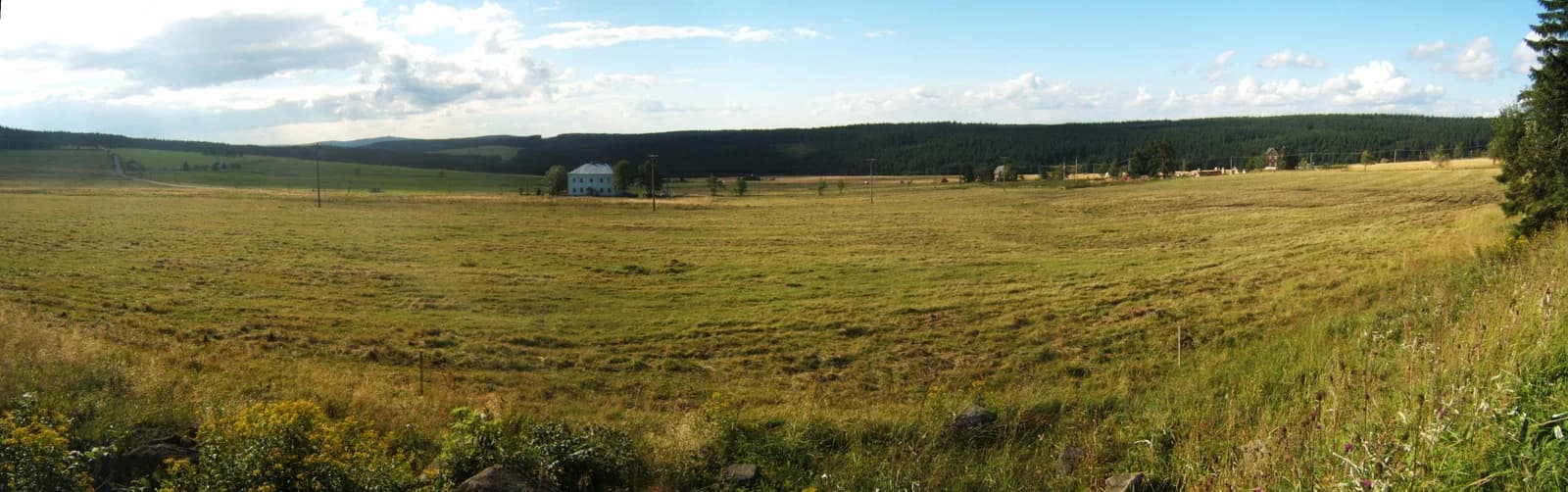 Ryžovna