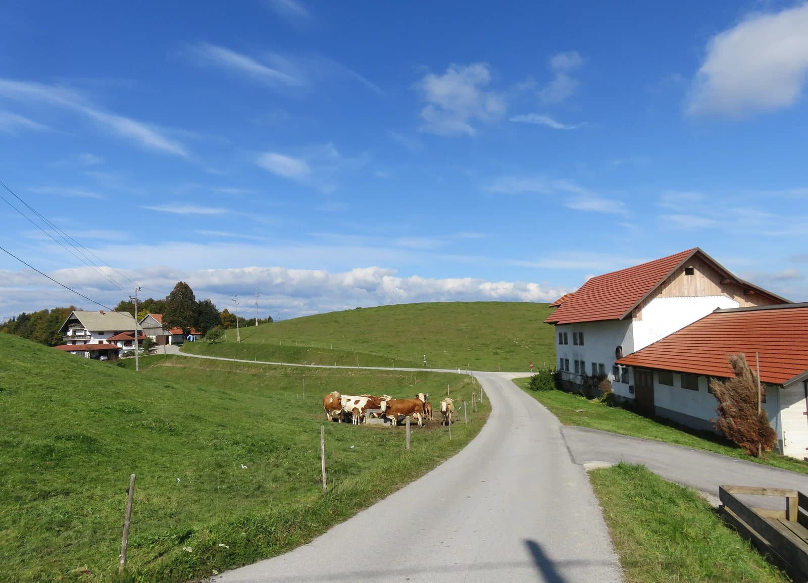 Mrzli Vrh