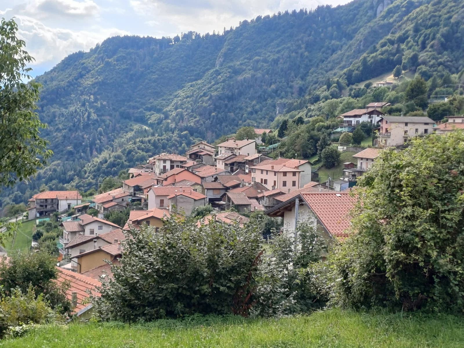 Ceratello