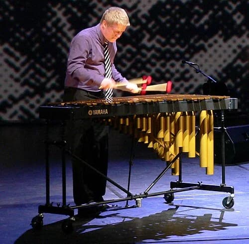 vibraphonist