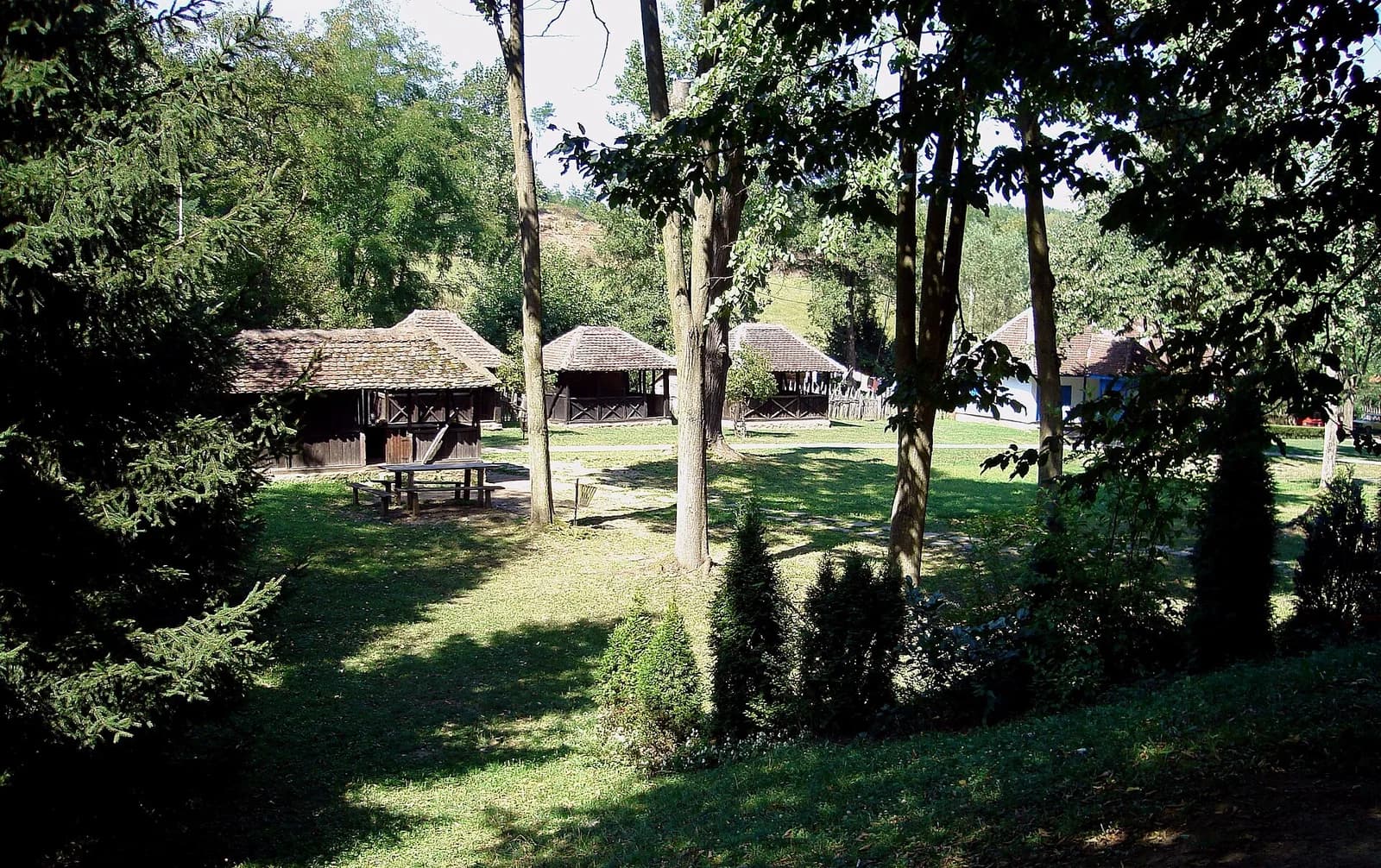Brankovina