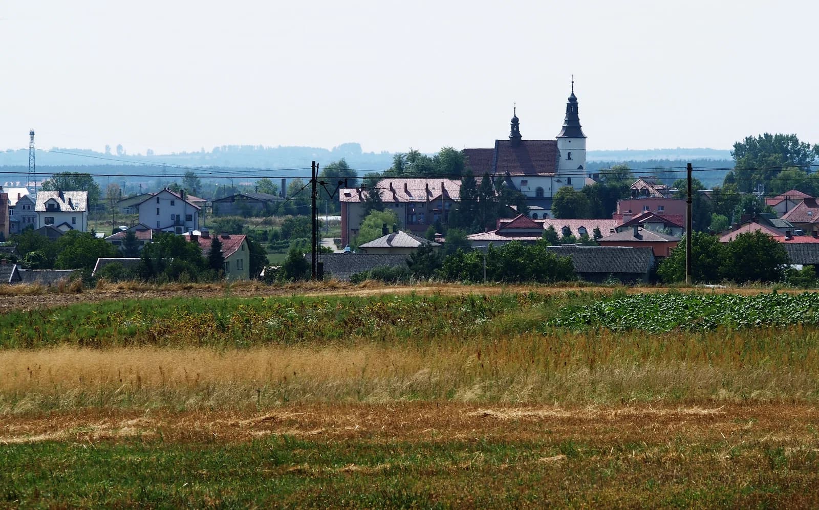 Koniemłoty