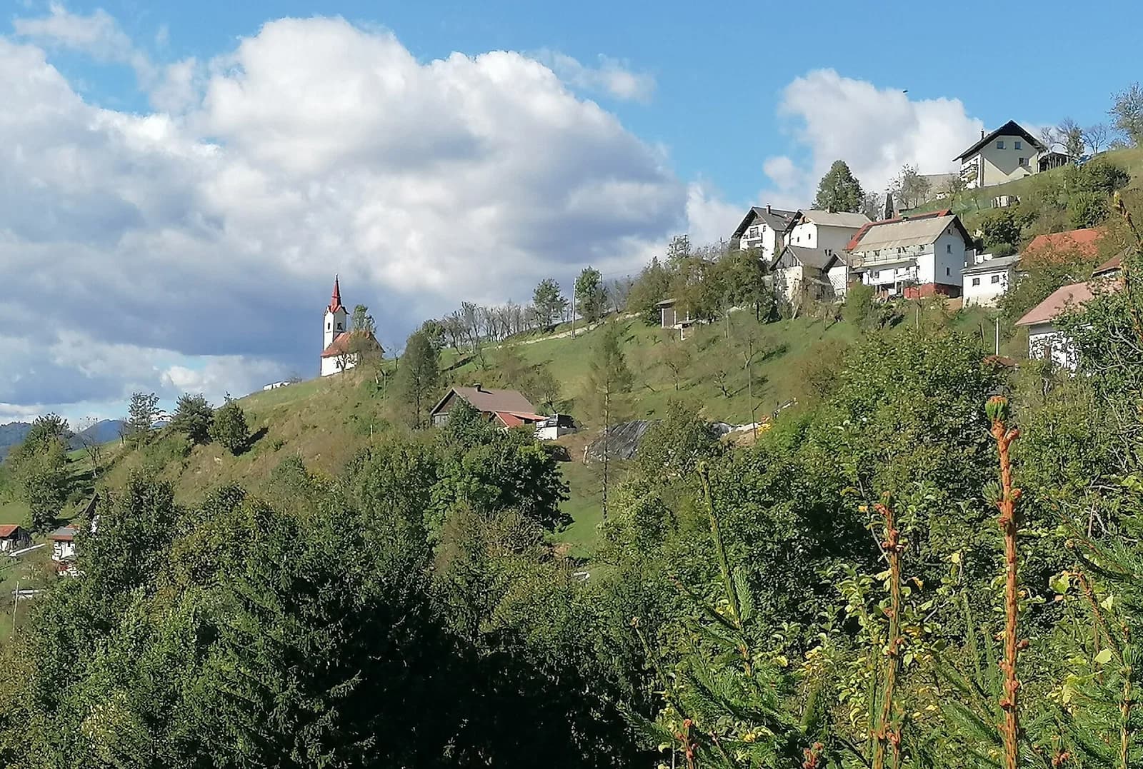 Lazec