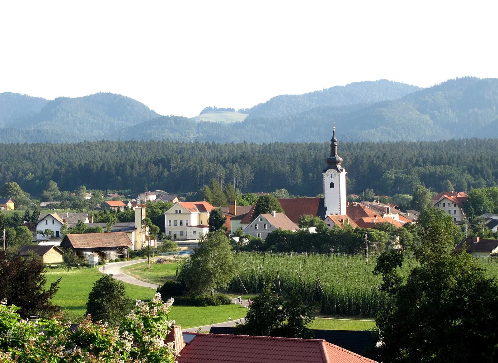 Šmartno pri Slovenj Gradcu
