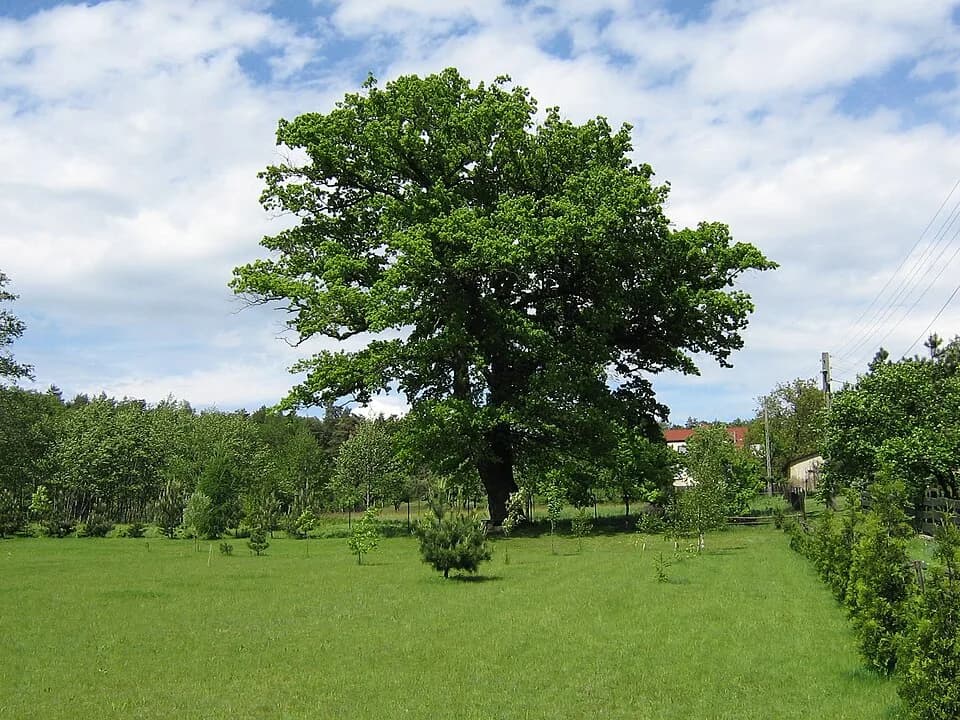Górki Śląskie