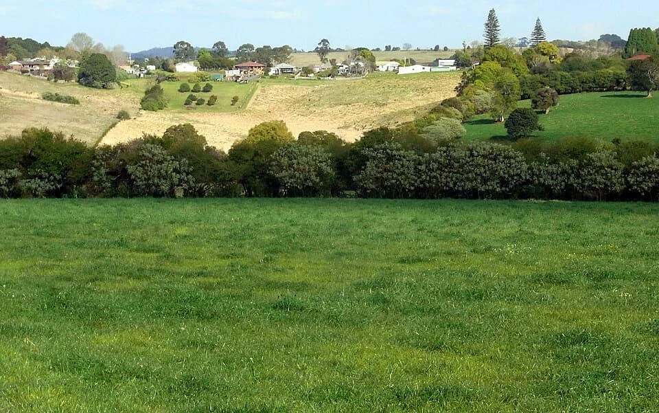Comboyne