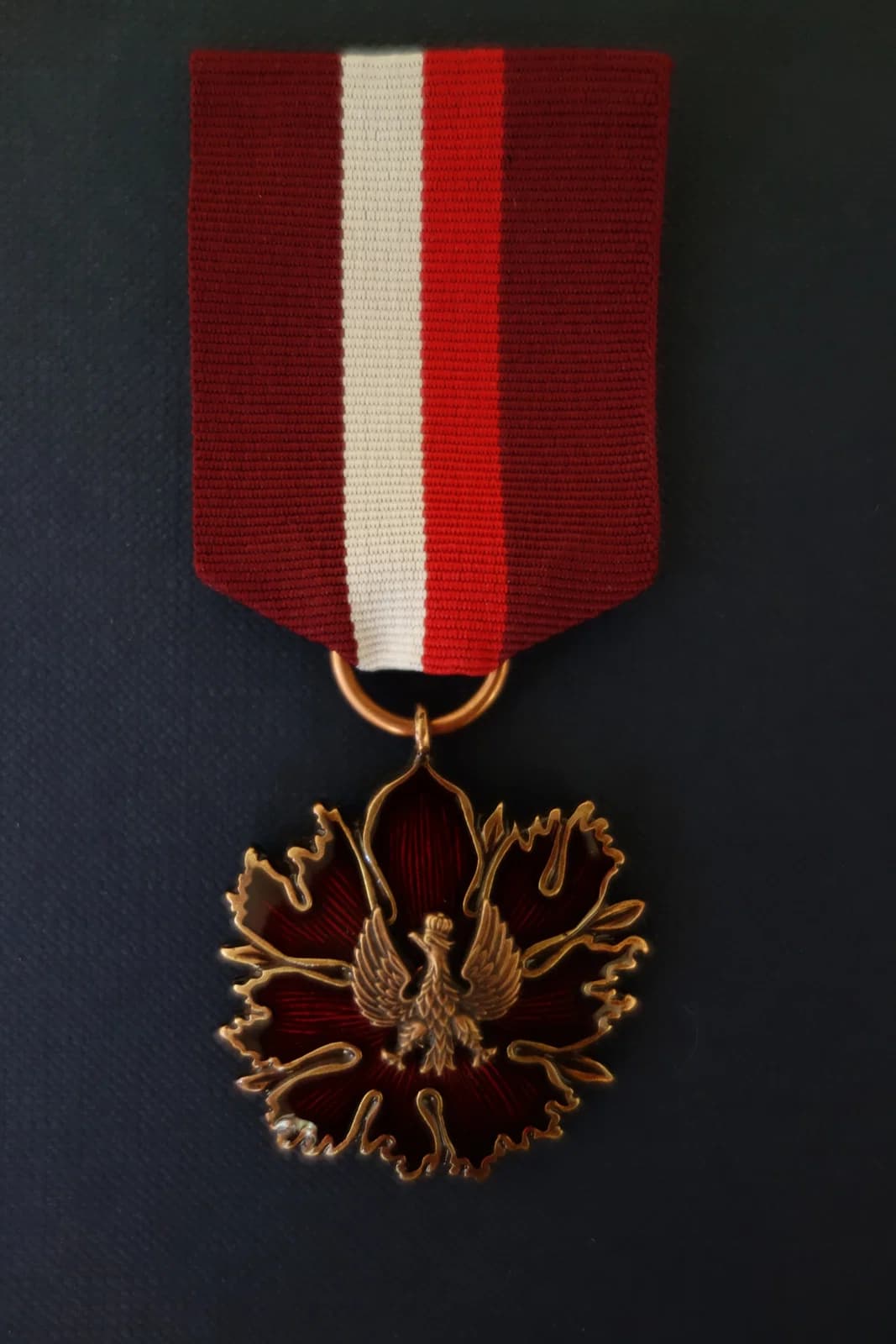 Bronze Medal for Merit to Culture – Gloria Artis‎