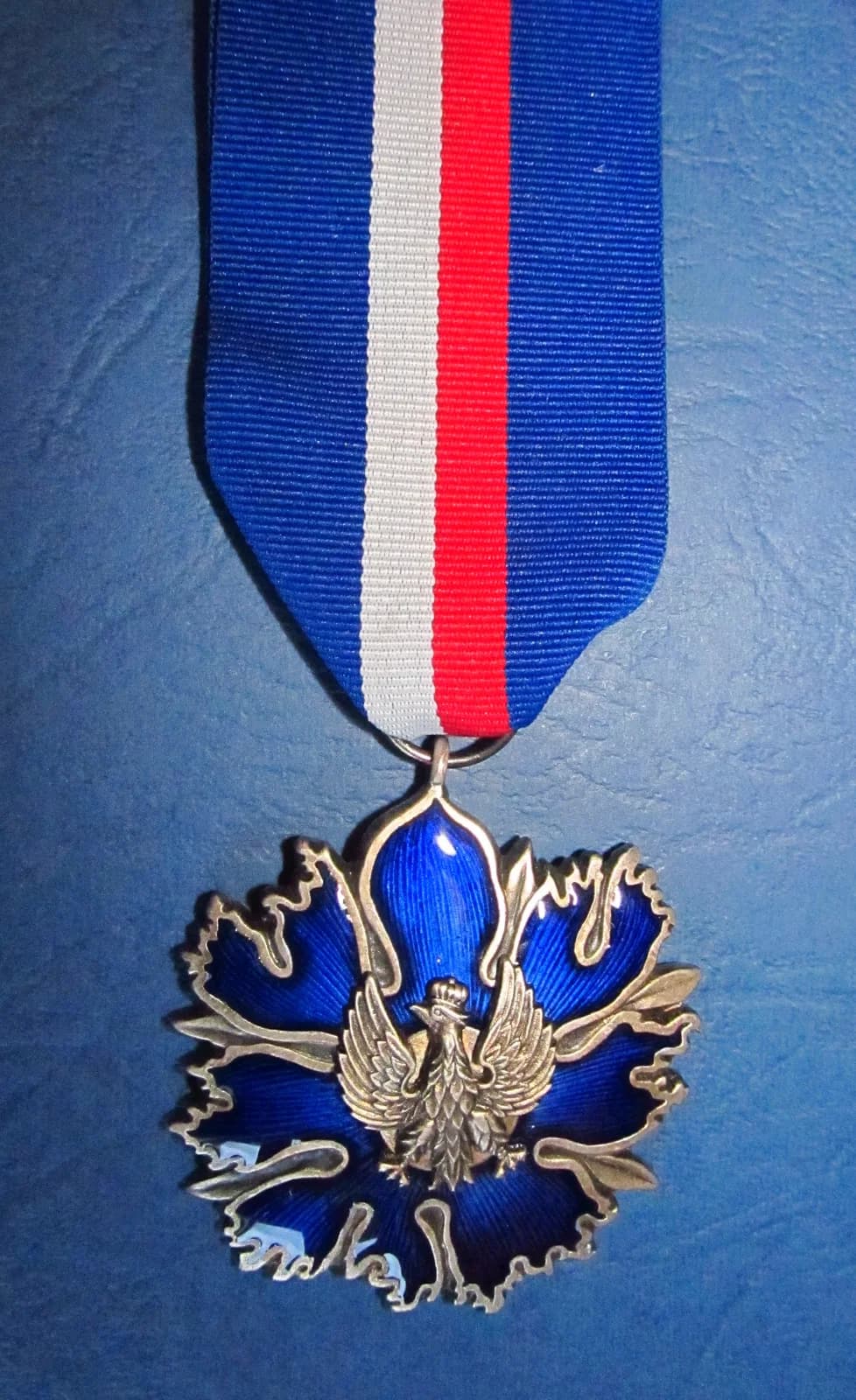 Silver Medal for Merit to Culture – Gloria Artis‎