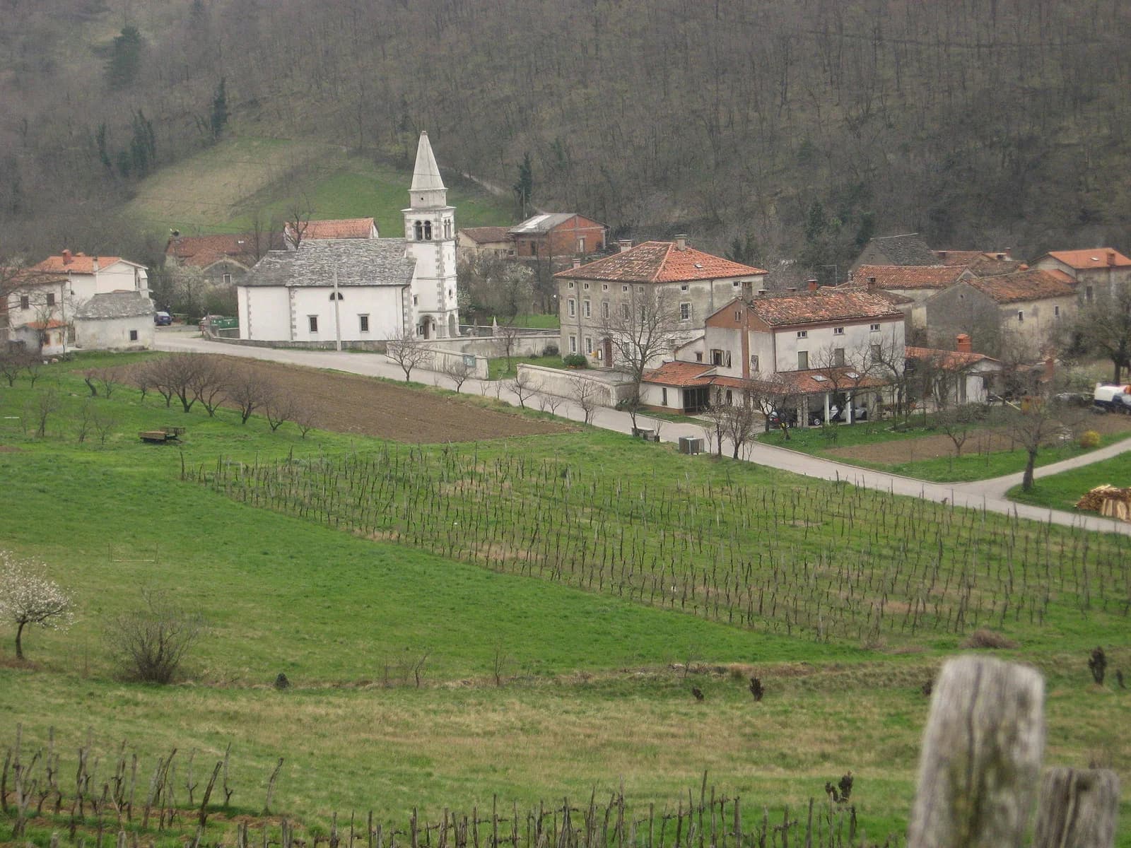 Lozice