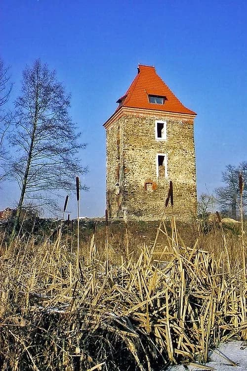 Dzietrzychowice
