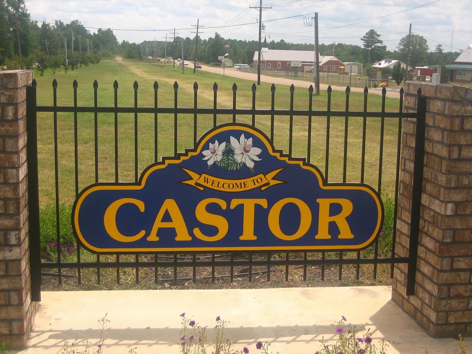 Castor