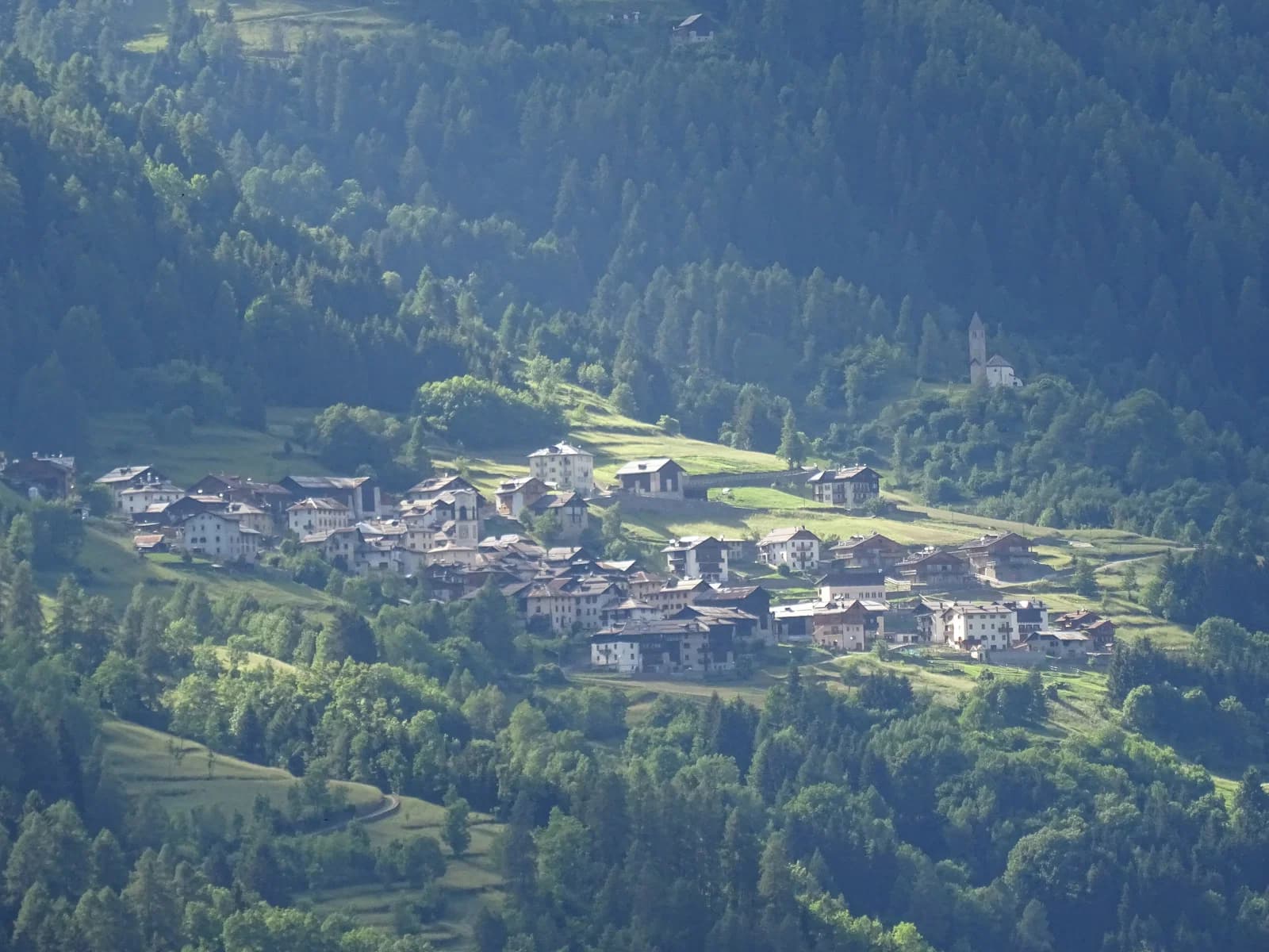 Comasine