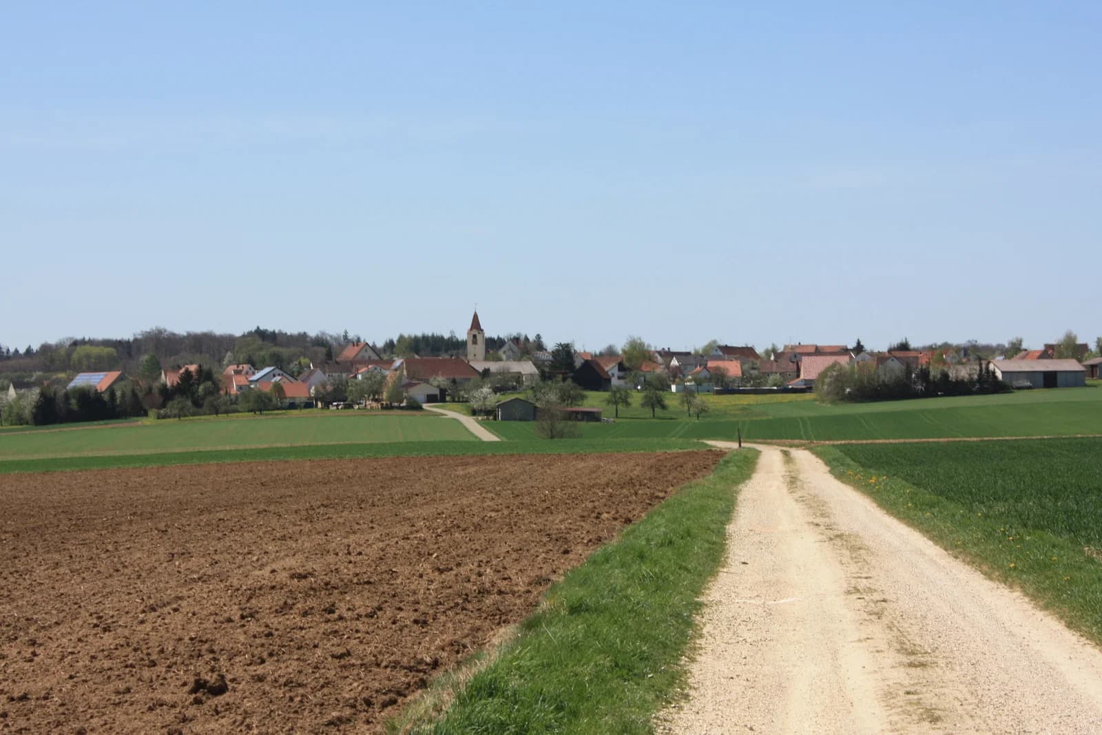 Schweindorf