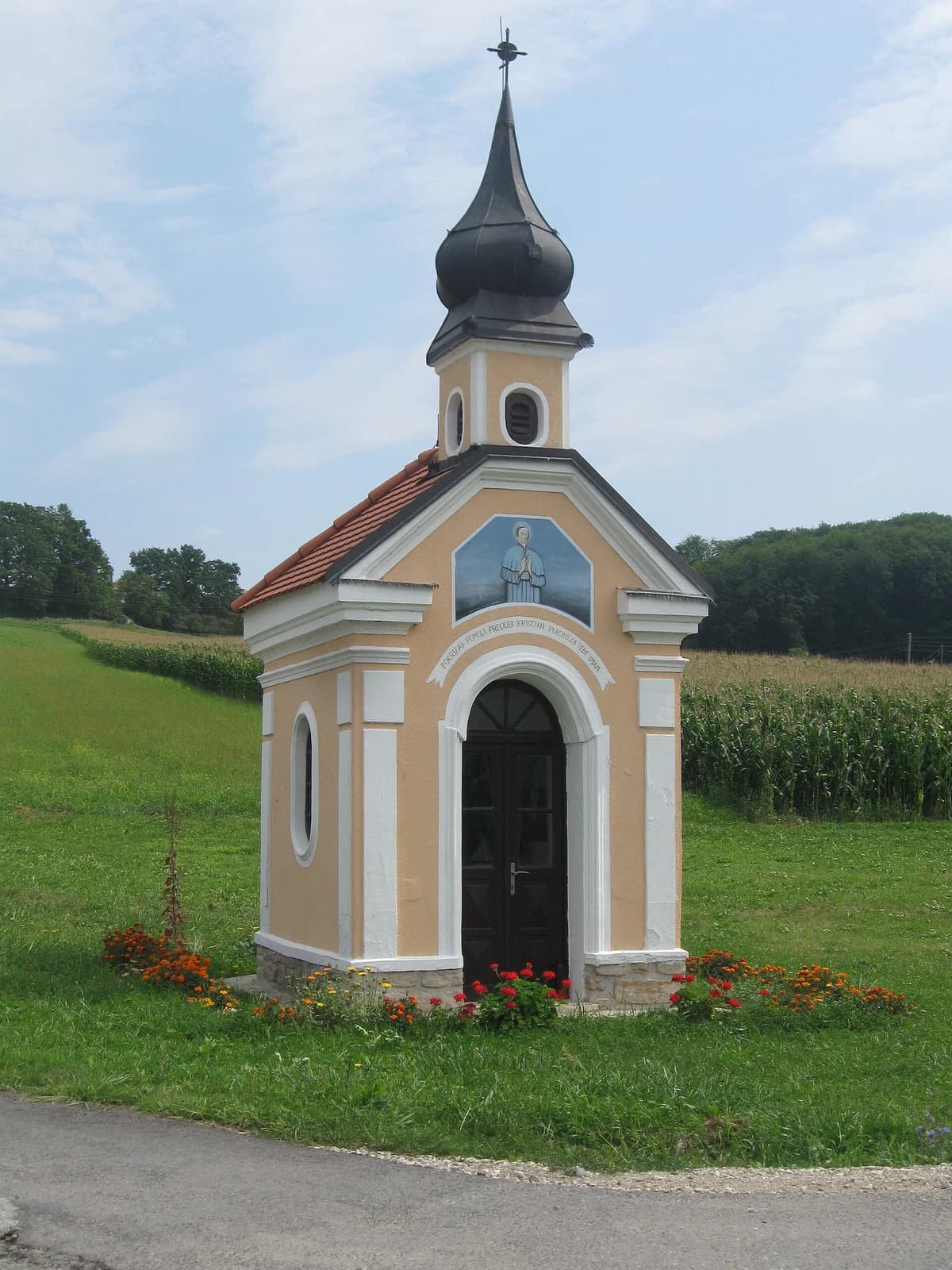 Vukovje