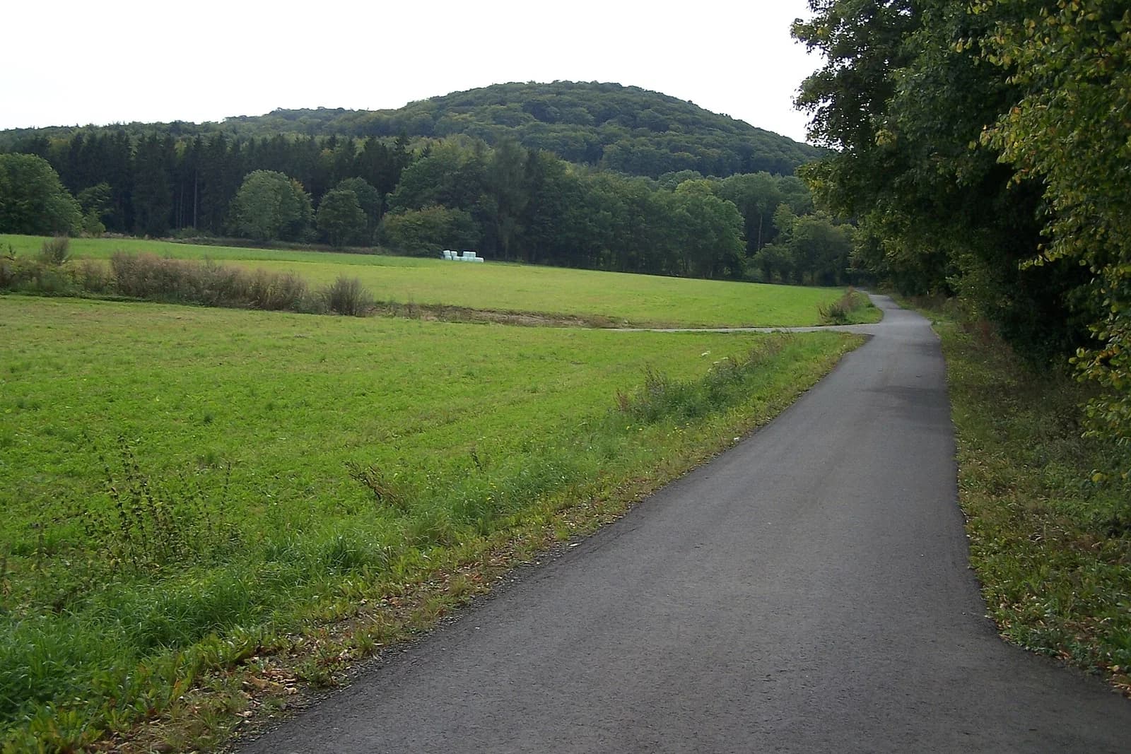 Sachsenburg