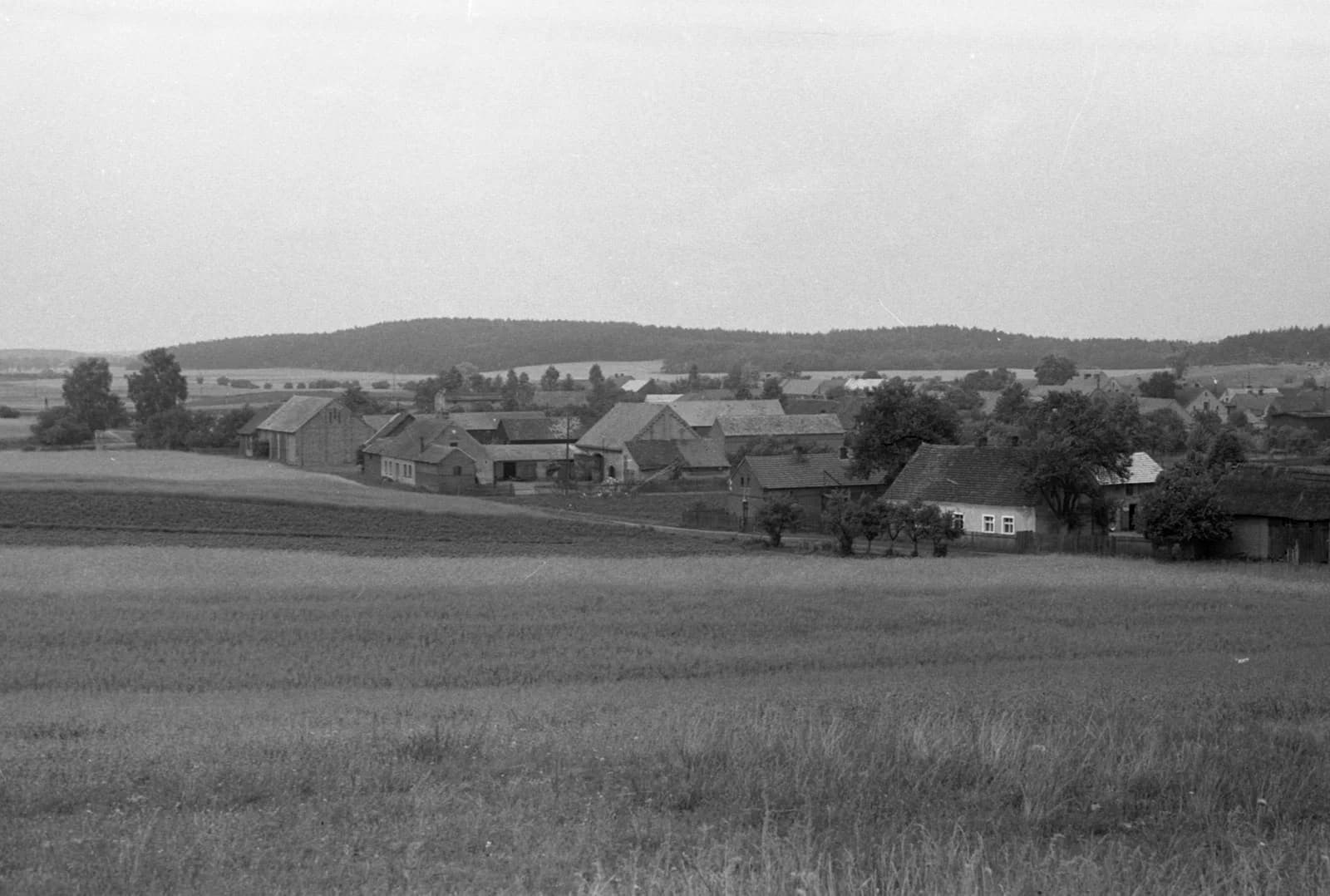 Stołuń