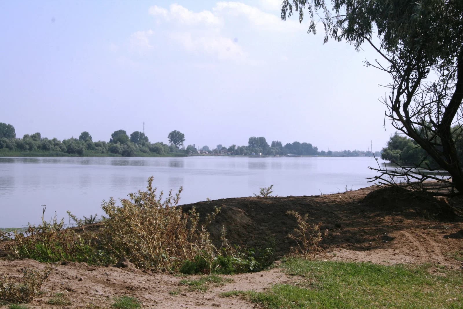Kamysjakski rajon